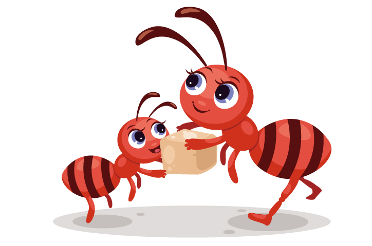 角砂糖を運ぶ蟻